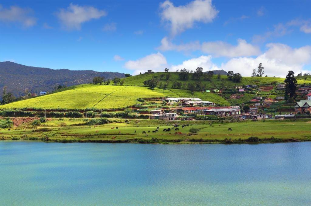 Firsmead Villa Nuwara Eliya Kültér fotó