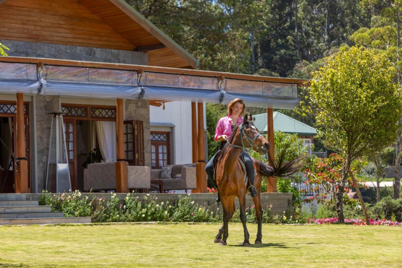 Firsmead Villa Nuwara Eliya Kültér fotó